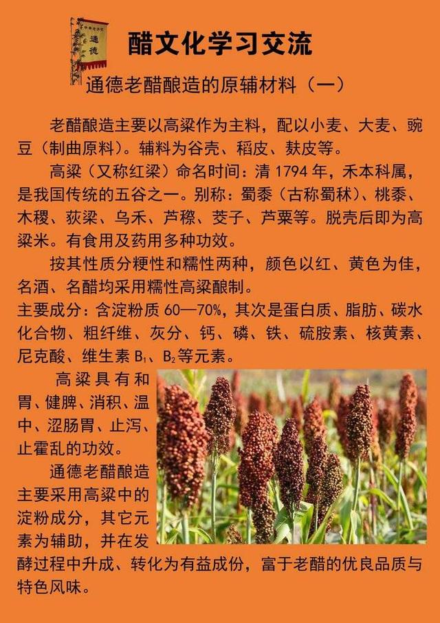 红高粱作者