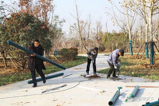 邳州展鸿绿化苗木工程