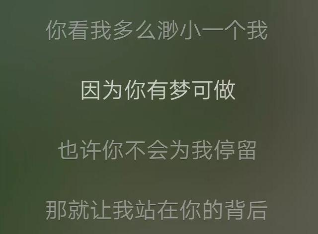 梅格妮是什么意思