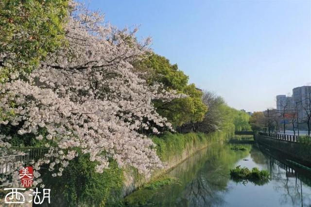 杭州钓鱼（杭州钓鱼台国宾馆）