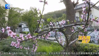 展茅翁家岙民居点道路工程招标公告