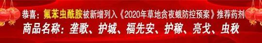 亮剑草地贪夜蛾，中农立华展现农资国家队的硬实力