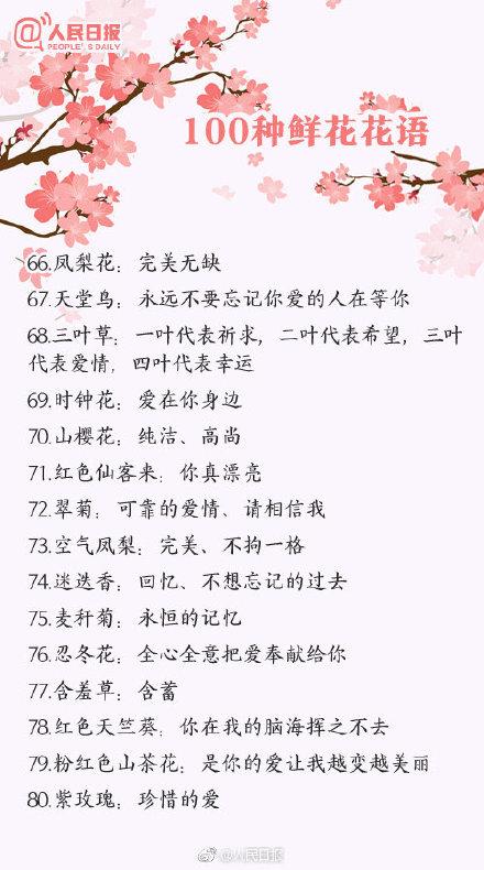 花的含义