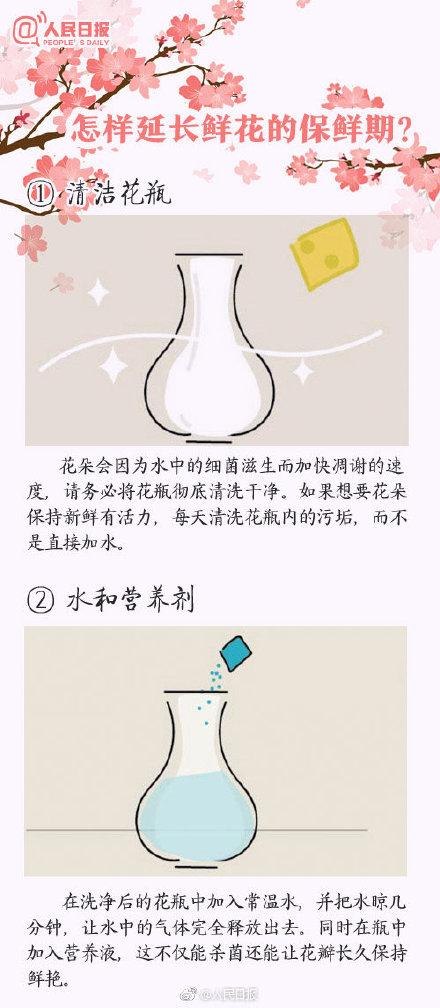 花的寓意 花的寓意（花的寓意和图片） 生活