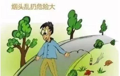 森林防火宣传内容