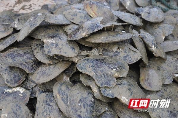 娄底陶瓷过滤机厂家