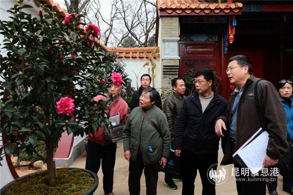 昆明的市花是什么