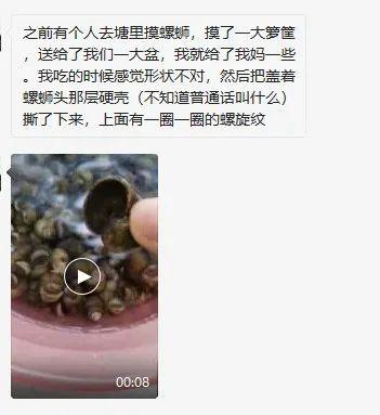 黄金螺图片