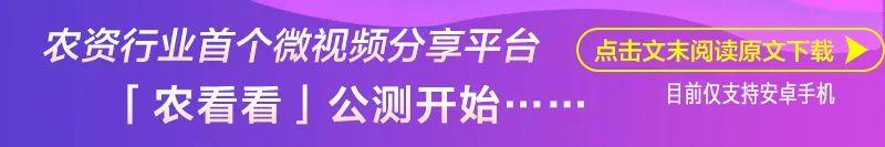 夏季蔬菜浇水、打药讲究多，这几点要注意