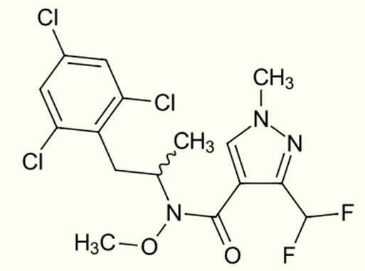 “三足鼎立”格局有望打破 SDHI类杀菌剂成为市场主体将成必然2