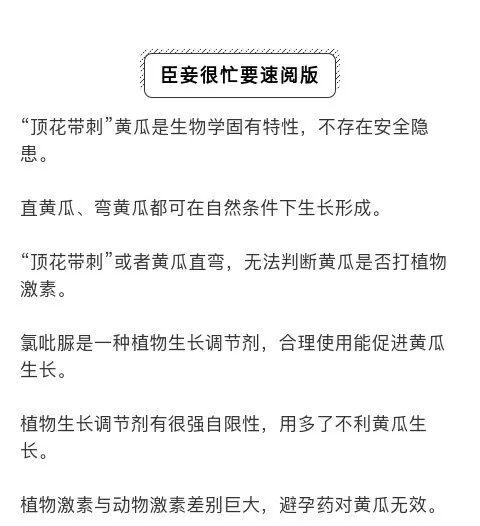 顶花带刺的黄瓜有毒？笔直黄瓜都是打药的？黄瓜到底该吃啥样的？