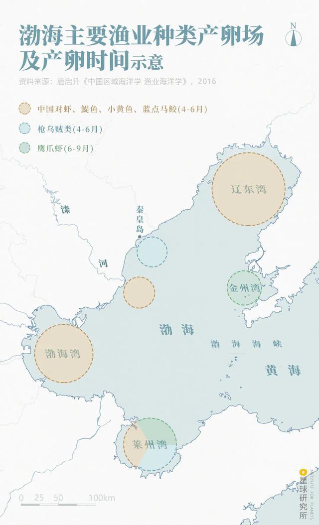 威海卵石制砂机厂家