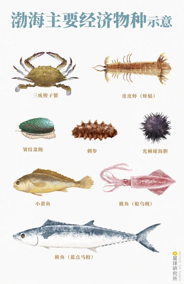 威海卵石制砂机厂家