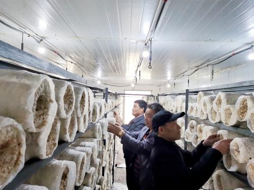 湿药渣专用破碎机的简单介绍