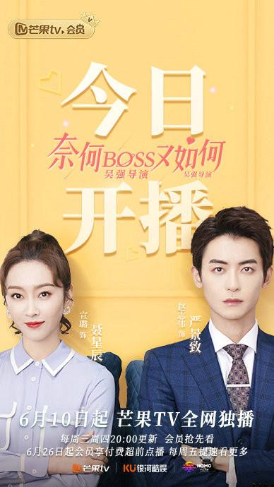 哪里可以看最新电视剧全集(流金岁月电视剧全集免费看)