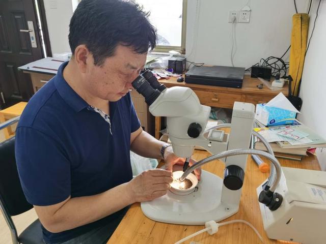 余姚哪里能放破碎机