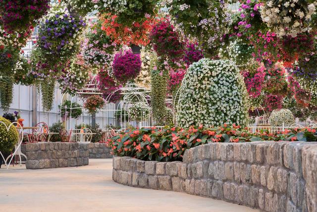 美食 开局一座神奇庄园(开局一颗美食星球)