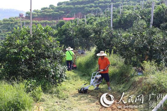梧州生产破碎机耐磨件厂家的简单介绍