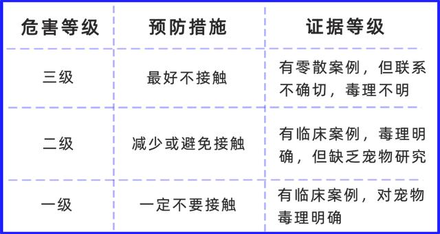 家中常见的 6 种宠物毒药：蚊香、洋葱、木糖醇和……2