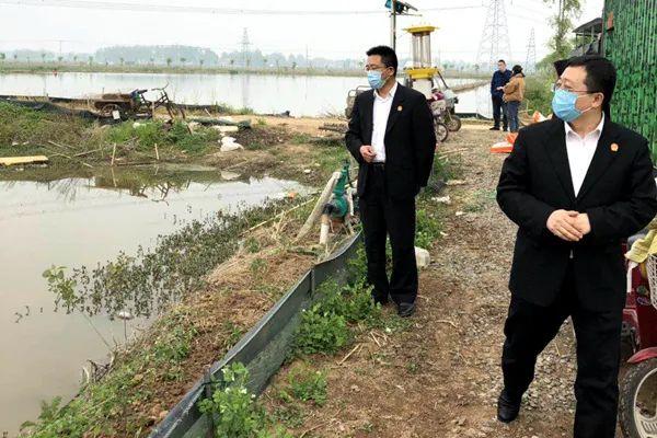 人民法庭“法官进网格”| 李集法庭：努力当好“八大员” 服务保障助发展