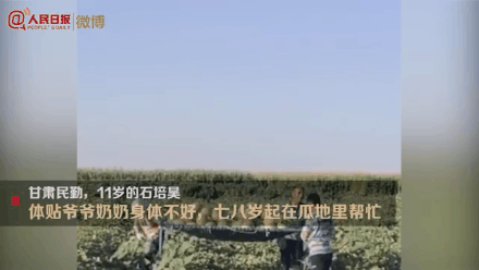青岛盛泽木工机械展