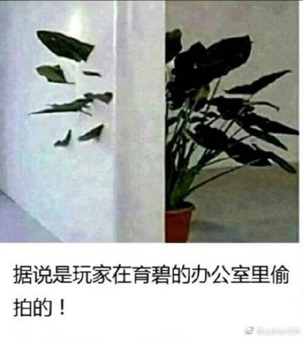 游戏里面马克杯是什么意思