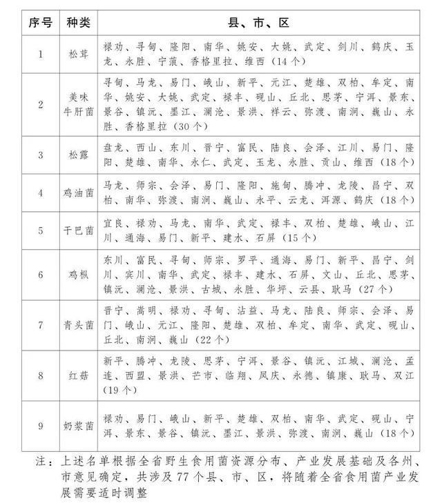 普洱复合型圆锥破碎机
