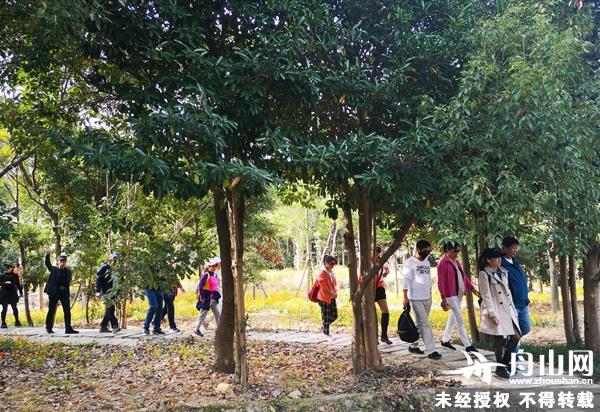 展茅翁家岙民居点道路工程招标公告