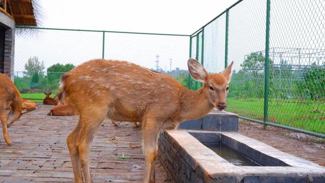 吉安适合团建的地方