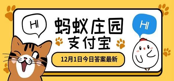 琼琚