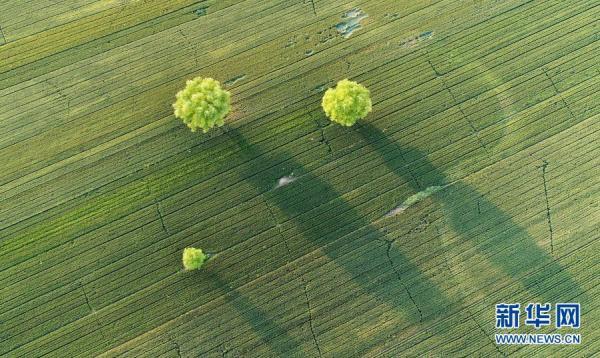 芒康县新型制砂机价格