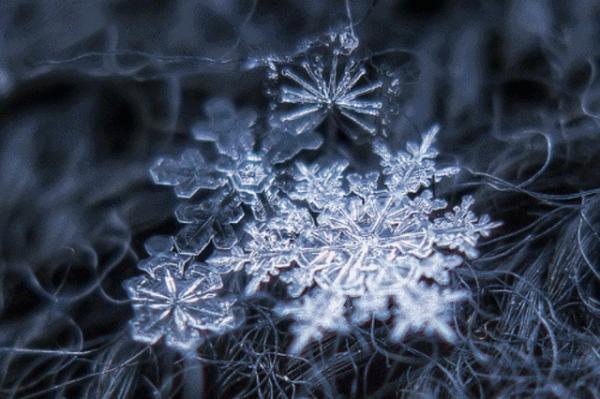 雪的密度是多少 雪的密度是多少（雪的密度是多少kg每立方米） 生活