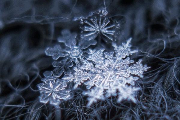 雪的密度是多少