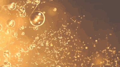 什么身体乳能吸引异性