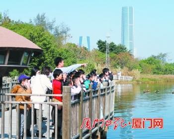 厦门市园博园主展岛(I岛)园林景观工程