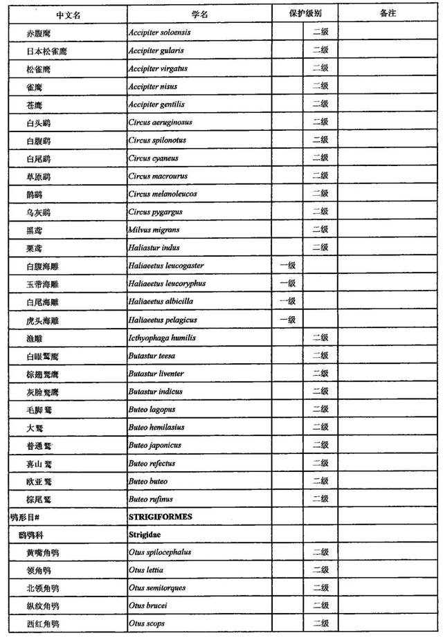 野生动物有哪些