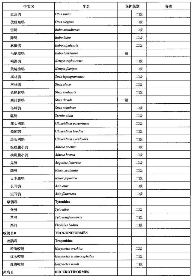 野生动物有哪些