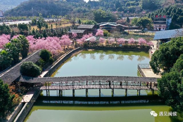 龙台山生态园