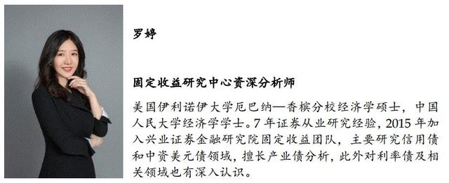 「兴证固收.转债」如何更好的优化周期投资品配置——从盛虹转债参与策略出发36