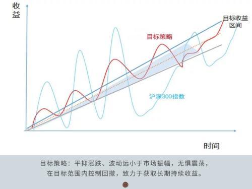 固收加策略是什么「达成目标的策略措施」