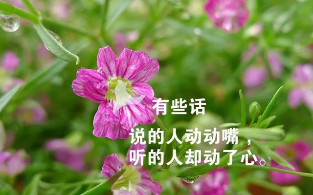 三月適合朋友圈的經典句子文字圖片 清新犀利 句句穿心!插圖(7)