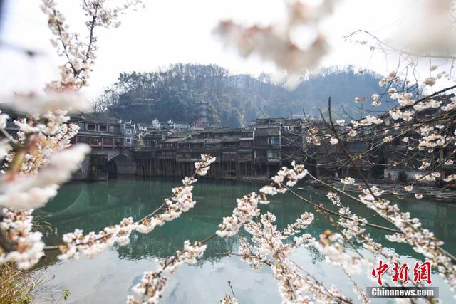 凤凰在哪里 凤凰在哪里（赛尔号凤凰在哪里） 生活