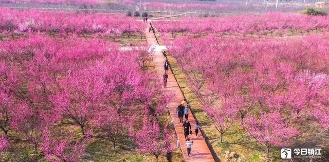 巩义太安制砂机地址