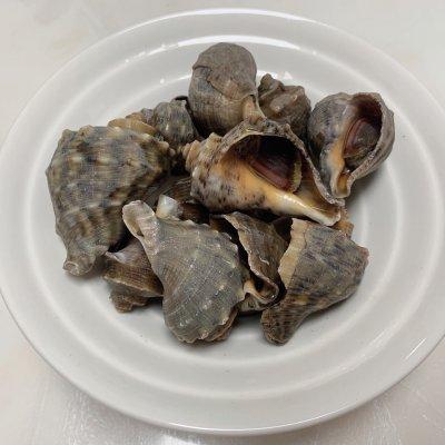 海螺蒸多久