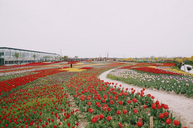 阜陽市地圖阜陽賞花地圖get