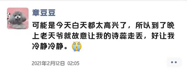 宠物寄养