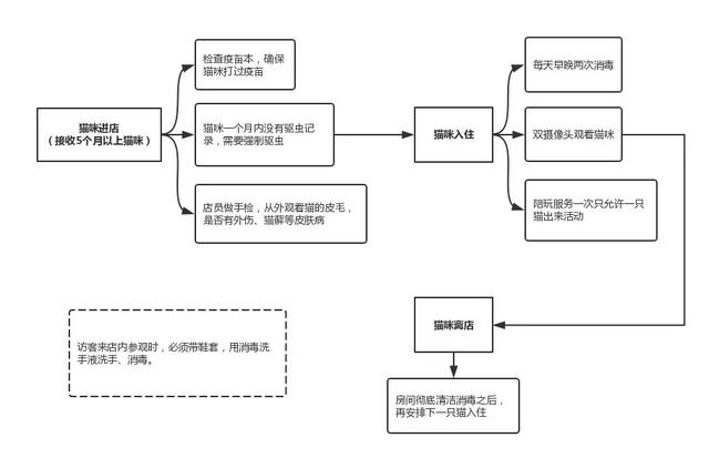 宠物寄养