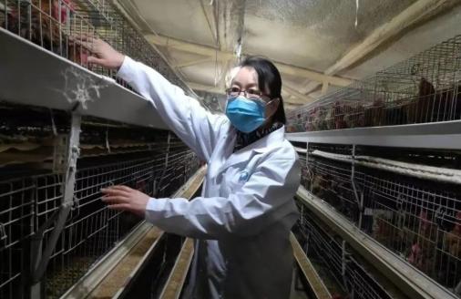 展宏建筑工程