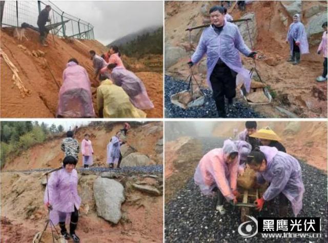 保定叶轮洗砂机报价