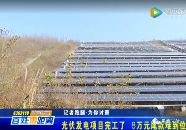 枣庄叶轮式洗砂机批发